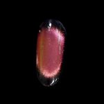 Pyramid 9D Cat Eye Gel Collection - C-005